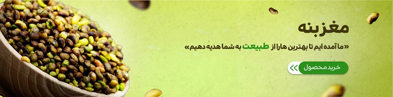 نکات نگهداری بنه