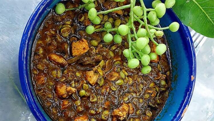 طرز تهیه خورش پسته کوهی؛ خورش اصیل کرمانشاهی