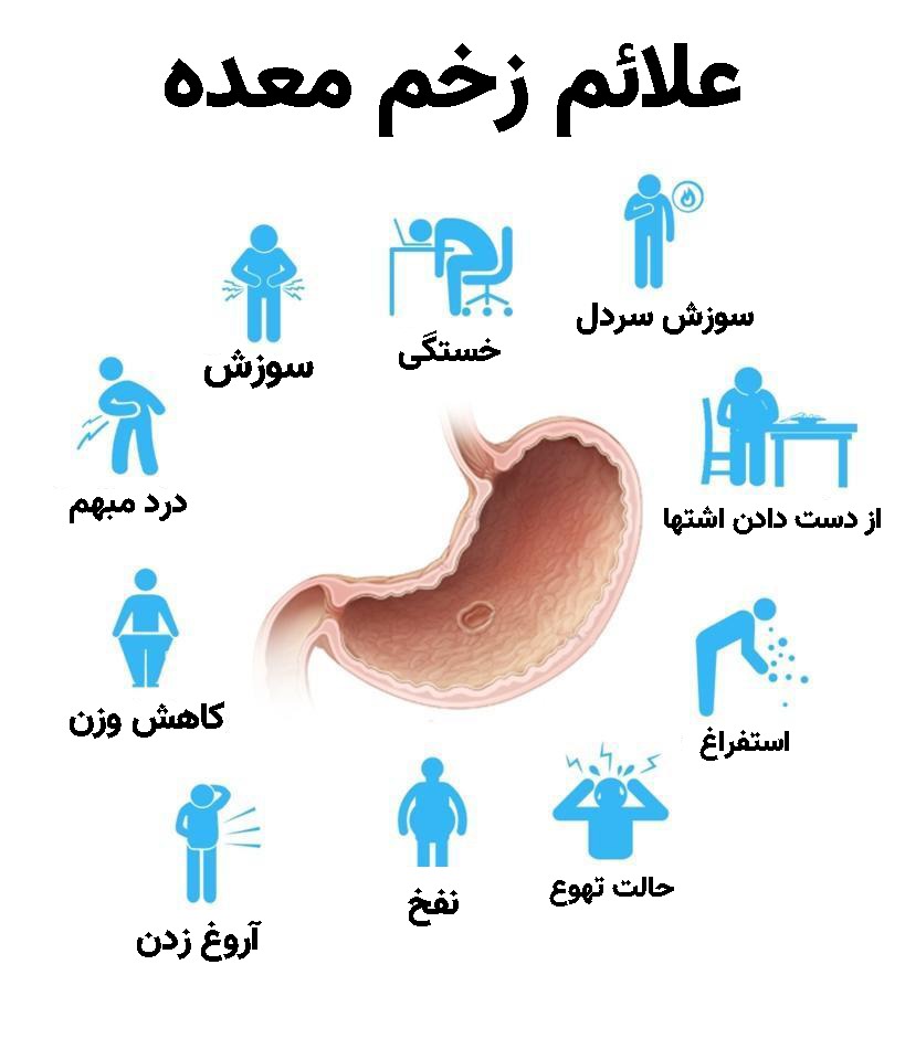 درمان سریع معده درد با پسته کوهی